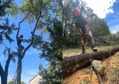 élagage et abattage d'arbres dans le Gard